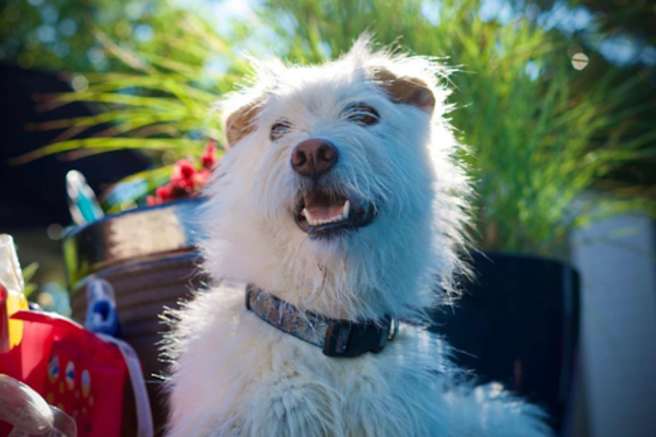 Sue Fallon's Tools of the Trade